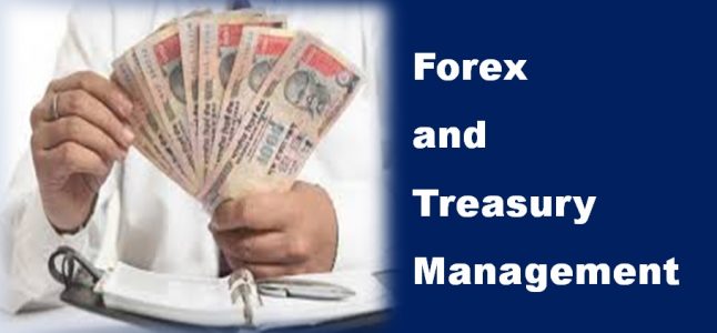 Career in forex and treasury management