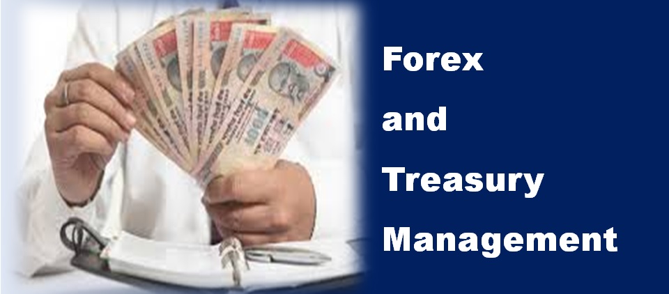 forex and treasury management
